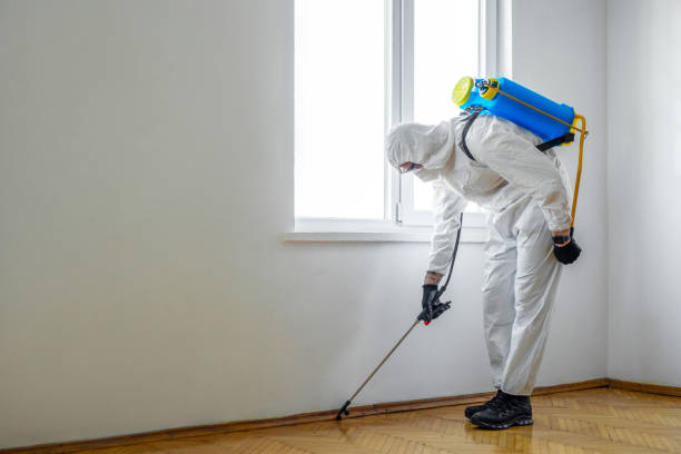 Best Organic or Eco-Friendly Pest Control  in Lorton, VA